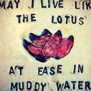 Meet your Posher, Cynthia